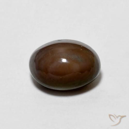 0.67ct طبيعي بني غامق شوكولاتة أوبال, بيضوي, غير شفاف