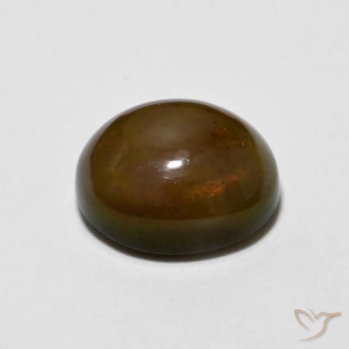 شوكولاتة أوبال Medium Dark-Brown طبيعي، بيضوي، 2.20 قيراط، غير شفاف