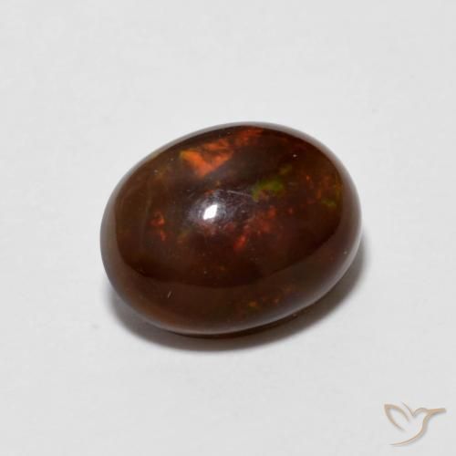 1.13ct طبيعي متعدد الألوان شوكولاتة أوبال, بيضوي, شفاف