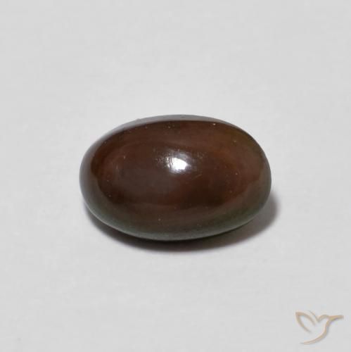 0.50ct طبيعي متعدد الألوان شوكولاتة أوبال, بيضوي, نصف شفاف