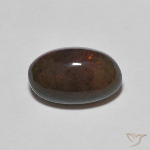 1.24ct طبيعي بني غامق شوكولاتة أوبال, بيضوي, غير شفاف