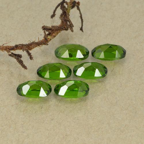 ديوبسيد الكروم طبيعي بلون Medium Dark-Green، وزن ‎1.62‎ قيراط، شكل بيضاوى، مقاس ‎4.9x2.9‎ مم