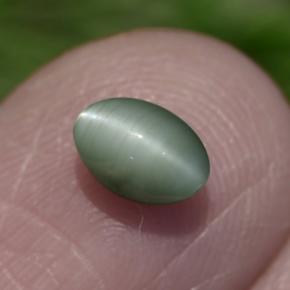 Chrysoberyl Cat's Eye طبيعي بلون أخضر، وزن ‎0.86‎ قيراط، شكل بيضاوى، مقاس ‎6x4.2‎ مم
