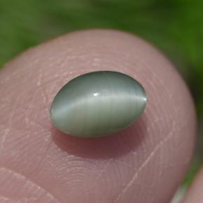 Chrysoberyl Cat's Eye طبيعي بلون أخضر، وزن ‎0.86‎ قيراط، شكل بيضاوى، مقاس ‎6x4.2‎ مم