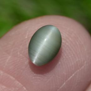 Chrysoberyl Cat's Eye طبيعي بلون أخضر، وزن ‎0.86‎ قيراط، شكل بيضاوى، مقاس ‎6x4.2‎ مم