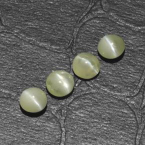 Chrysoberyl Cat's Eye طبيعي بلون أخضر ذهبي، وزن ‎1.54‎ قيراط، شكل دائري، مقاس ‎4.06‎ مم