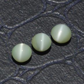 Chrysoberyl Cat's Eye طبيعي بلون أخضر، وزن ‎1.31‎ قيراط، شكل دائري، مقاس ‎3.87‎ مم