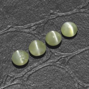 Chrysoberyl Cat's Eye طبيعي بلون أخضر ذهبي، وزن ‎1.66‎ قيراط، شكل دائري، مقاس ‎4.00‎ مم
