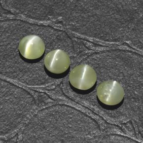 Chrysoberyl Cat's Eye طبيعي بلون أخضر ذهبي، وزن ‎1.66‎ قيراط، شكل دائري، مقاس ‎4.00‎ مم