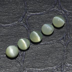 Chrysoberyl Cat's Eye طبيعي بلون أخضر ذهبي، وزن ‎2.53‎ قيراط، شكل دائري، مقاس ‎4.04‎ مم