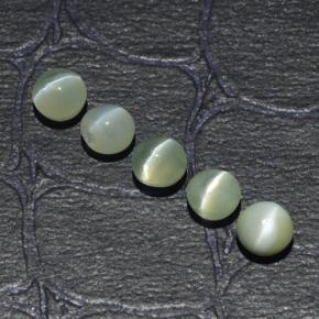 Chrysoberyl Cat's Eye طبيعي بلون أخضر ذهبي، وزن ‎2.53‎ قيراط، شكل دائري، مقاس ‎4.04‎ مم