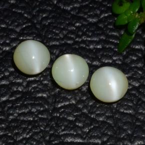 كريزوبيريل عين القط طبيعي بلون أخضر ذهبي، وزن ‎1.31‎ قيراط، شكل دائري، مقاس ‎4.00‎ مم