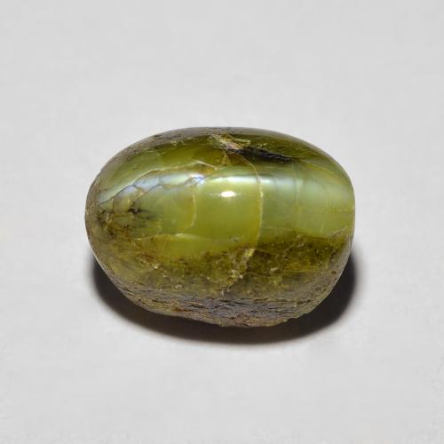 Chrysoberyl Cat's Eye طبيعي بلون أخضر عميق، وزن ‎3.69‎ قيراط، شكل بيضاوى، مقاس ‎8.7x6.3‎ مم