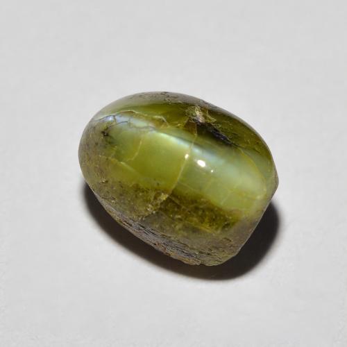 Chrysoberyl Cat's Eye طبيعي بلون أخضر عميق، وزن ‎3.69‎ قيراط، شكل بيضاوى، مقاس ‎8.7x6.3‎ مم