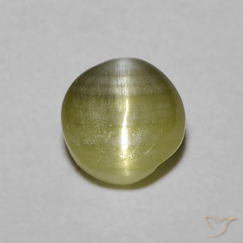 0.52ct طبيعي أخضر مصفر عين القط كريزوبيريل, دائري, نصف شفاف