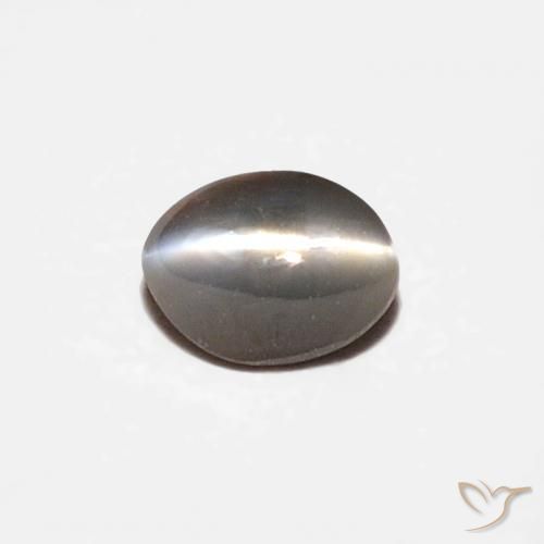 0.26ct طبيعي أسود رمادى عين القط كريزوبيريل, بيضوي, غير شفاف
