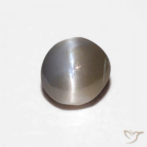 0.16ct طبيعي أسود رمادى عين القط كريزوبيريل, بيضوي, غير شفاف