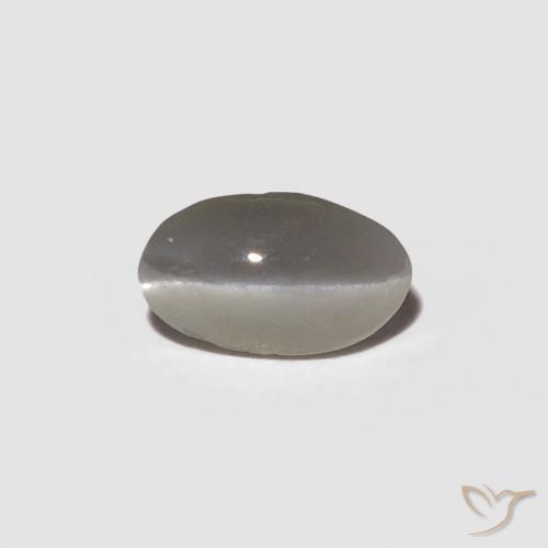 0.29ct طبيعي رمادى فاتح جدا عين القط كريزوبيريل, بيضوي, غير شفاف