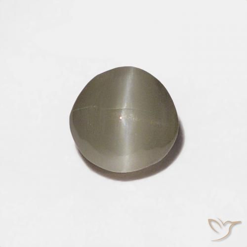 0.20ct طبيعي رمادى فاتح جدا عين القط كريزوبيريل, دائري, غير شفاف