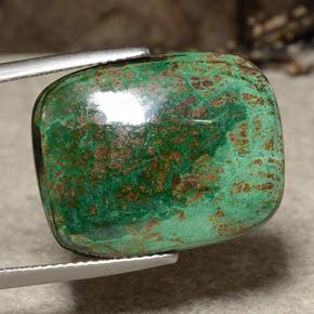 كريزوكولا متعدد الألوان طبيعي، قطع وسادة، 17.99 قيراط، غير شفاف