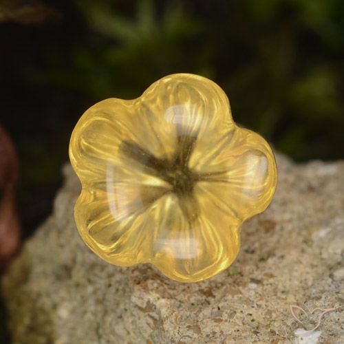 1.47ct طبيعي Medium Gold  سيترين, قص وردة, شفاف