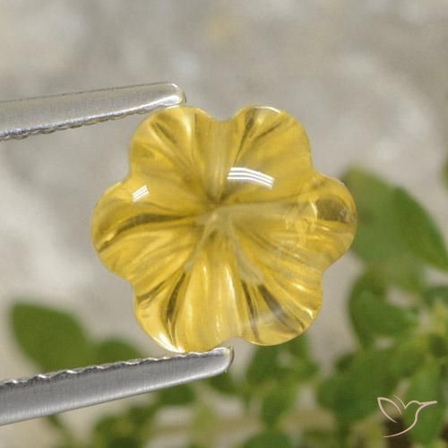 2.20ct طبيعي أصفر توسكانا سيترين, قص وردة, شفاف