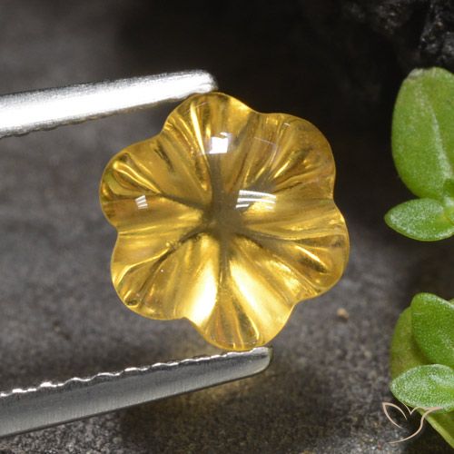 1.66ct طبيعي ذهبى متوسط سيترين, قص وردة, شفاف