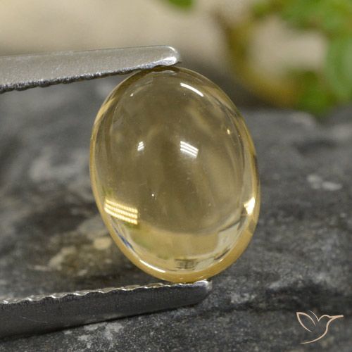 1.47ct طبيعي ذهبى فاتح سيترين, بيضوي, شفاف