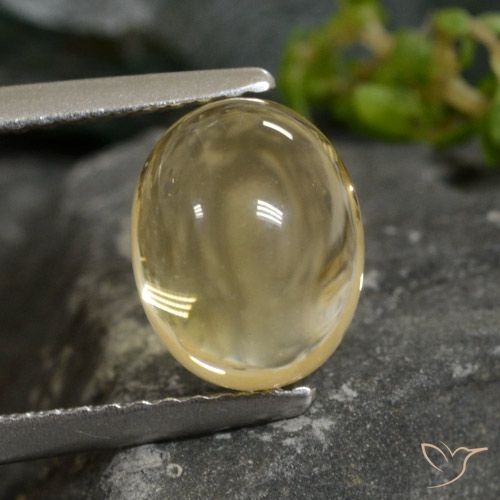 2.52ct طبيعي ذهبى فاتح سيترين, بيضوي, شفاف