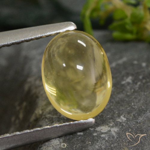 1.43ct طبيعي ذهبى فاتح سيترين, بيضوي, شفاف