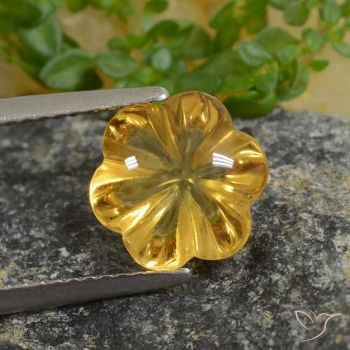 2.20ct طبيعي أصفر غامق سيترين, قص وردة, شفاف