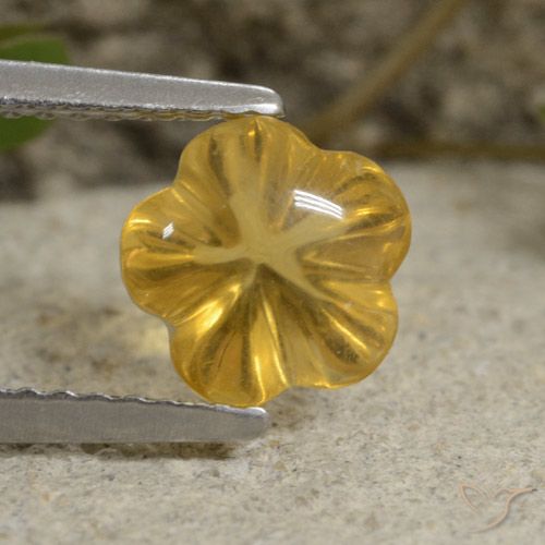 1.61ct طبيعي أصفر عسلى سيترين, قص وردة, شفاف