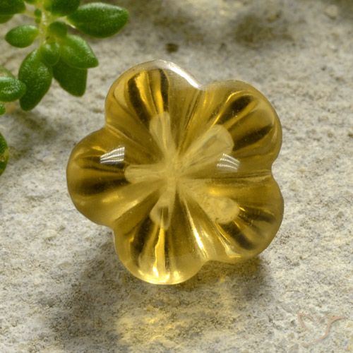 2.52ct طبيعي أصفر عسلى سيترين, قص وردة, شفاف