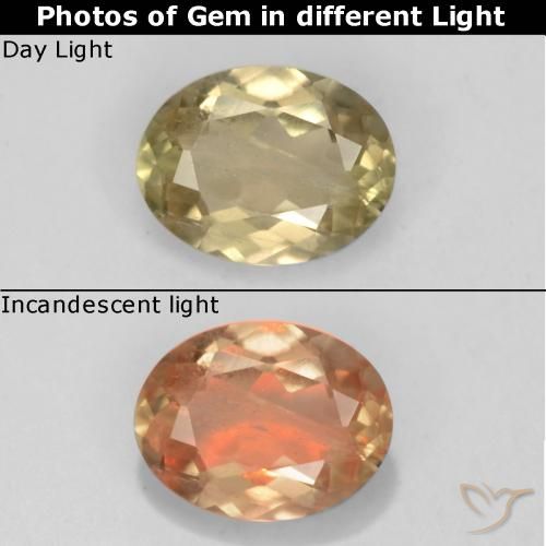 0.65ct طبيعي أصفر ذهبى فاتح دياسبور متغير اللون, بيضوي, قليلا جدا