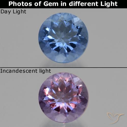 11.08ct طبيعي أزرق بحرى كثيف فلوريت متغير اللون, دائري, قليلا جدا
