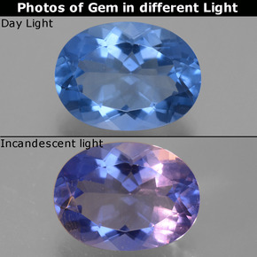 فلوريت متغير اللون أزرق غامق طبيعي، قصة بيضاوى، 8.64 قيراط، VVS-VS