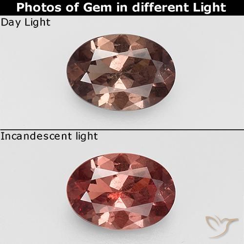 0.74ct طبيعي بنى الجوزية عقيق متغير اللون, بيضوي, قليلا جدا
