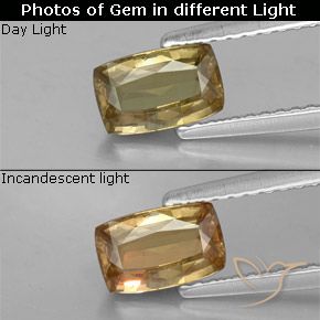 0.87ct طبيعي بني ذهبي عقيق متغير اللون, وسادة, قليلا جدا