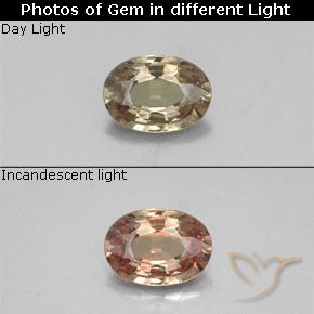 0.52ct طبيعي بني ذهبي عقيق متغير اللون, بيضوي, VS-SI