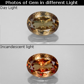 عقيق متغير اللون بنى ذهبى إلى البرتقالى طبيعي، قصة بيضاوى، 1.55 قيراط، قليلا جدا