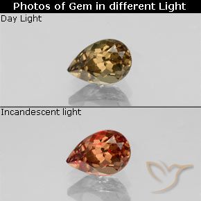 0.61ct طبيعي بني ذهبي عقيق متغير اللون, شكل الكمثرى, VVS-VS