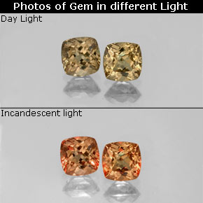 أحجار عقيق متغير اللون بنى ذهبى إلى البرتقالى طبيعية، قطع وسادة، VVS-VS، وزنها  قيراط