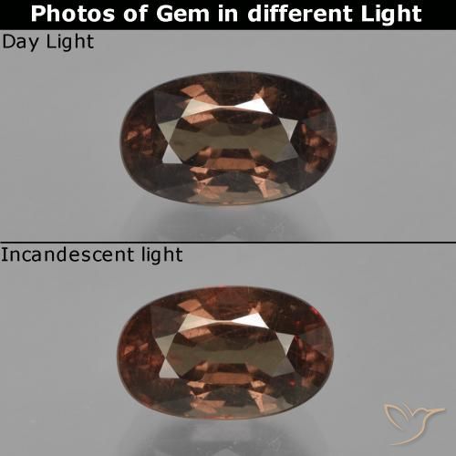 2.64ct طبيعي بنى متوسط عقيق متغير اللون, بيضوي, قليلا جدا