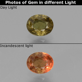 عقيق متغير اللون بنى داكن-متوسط طبيعي، قصة بيضاوى، 0.55 قيراط، قليلا جدا