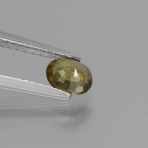 عقيق متغير اللون بنى داكن-متوسط طبيعي، قصة بيضاوى، 0.55 قيراط، قليلا جدا