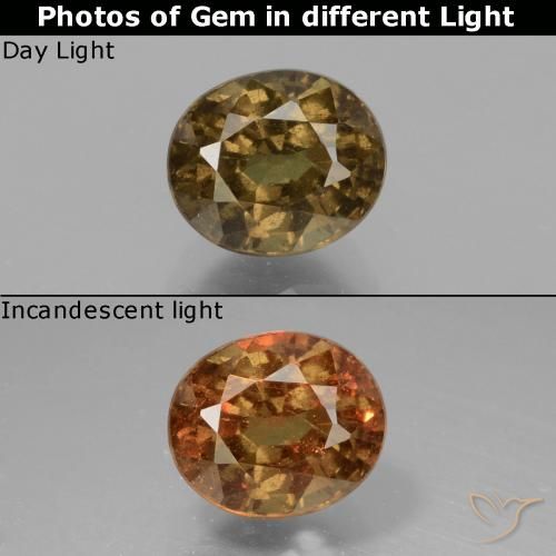 1.55ct طبيعي بني غامق عقيق متغير اللون, بيضوي, VS-SI