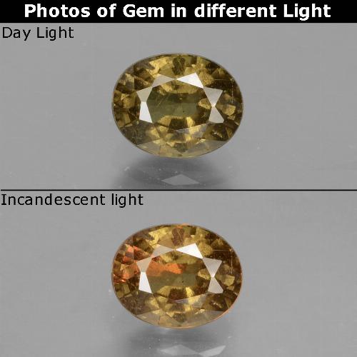 عقيق متغير اللون بنى داكن-متوسط طبيعي، قصة بيضاوى، 1.05 قيراط، VS-SI