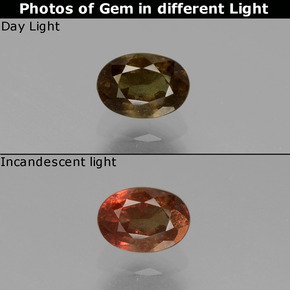 عقيق متغير اللون أخضر إلى أحمر وردي طبيعي، قصة بيضاوى، 0.74 قيراط، قليلا جدا