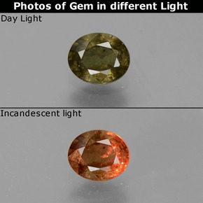 عقيق متغير اللون أخضر إلى أحمر وردي طبيعي، قصة بيضاوى، 0.65 قيراط، قليلا جدا