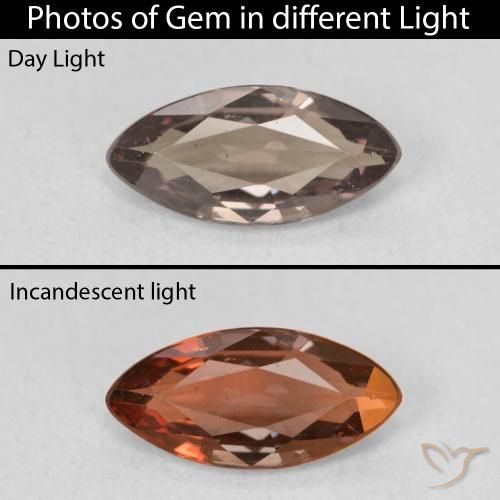 1.23ct طبيعي بنى فاتح متوسط عقيق متغير اللون, ماركيز, VVS-VS